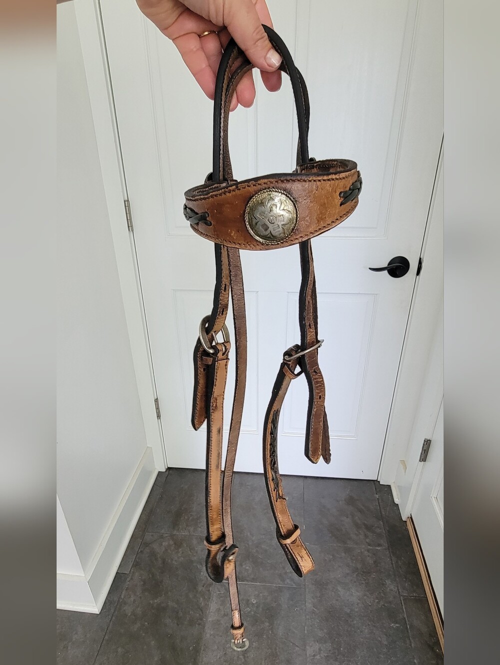Horse Headstall